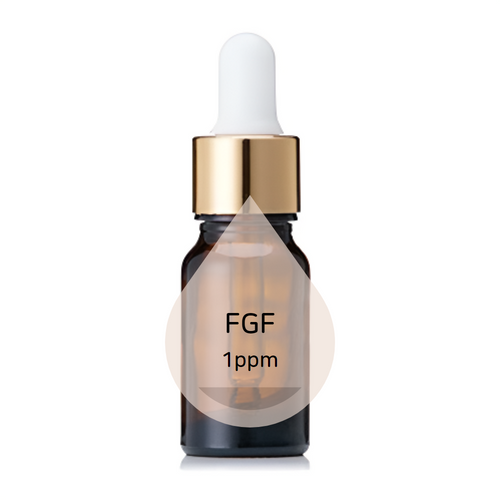 FGF(Fibroblast Growth Factor/1ppm)섬유아세포 성장인자