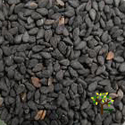 검정깨오일(Sesame Black seed Oil)-100ml/500ml/1L